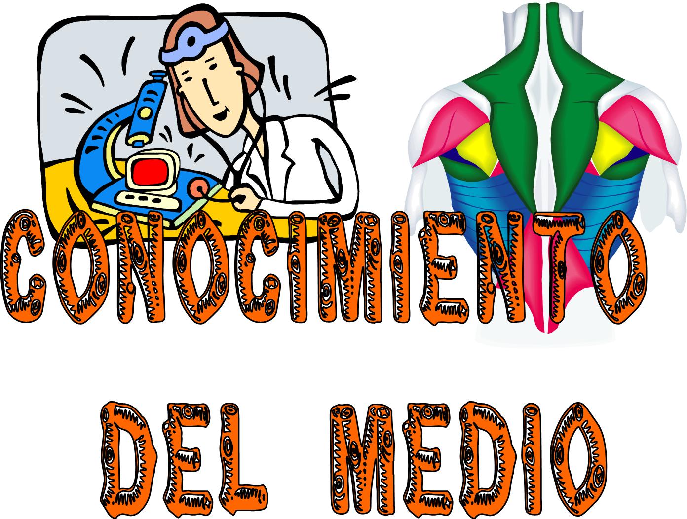 CONOCIMIENTO DEL MEDIO